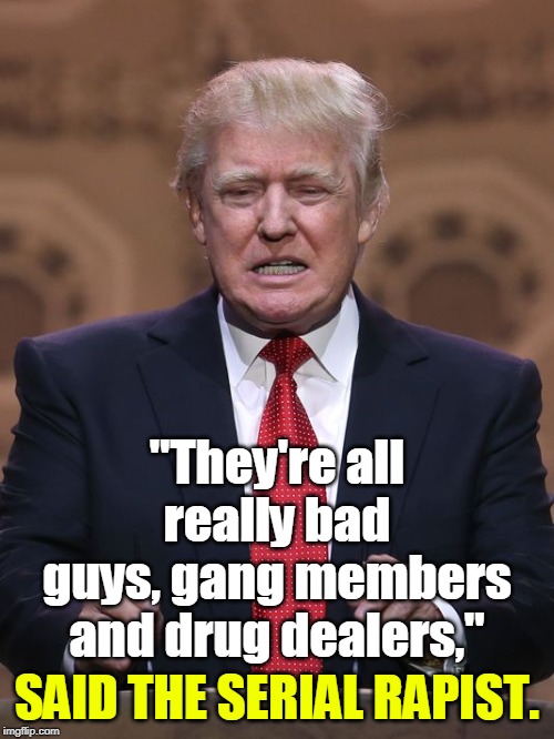 Racist, racist, racist. | "They're all really bad guys, gang members and drug dealers,"; SAID THE SERIAL RAPIST. | image tagged in donald trump,racist,bahamas,hurricane dorian,lies | made w/ Imgflip meme maker