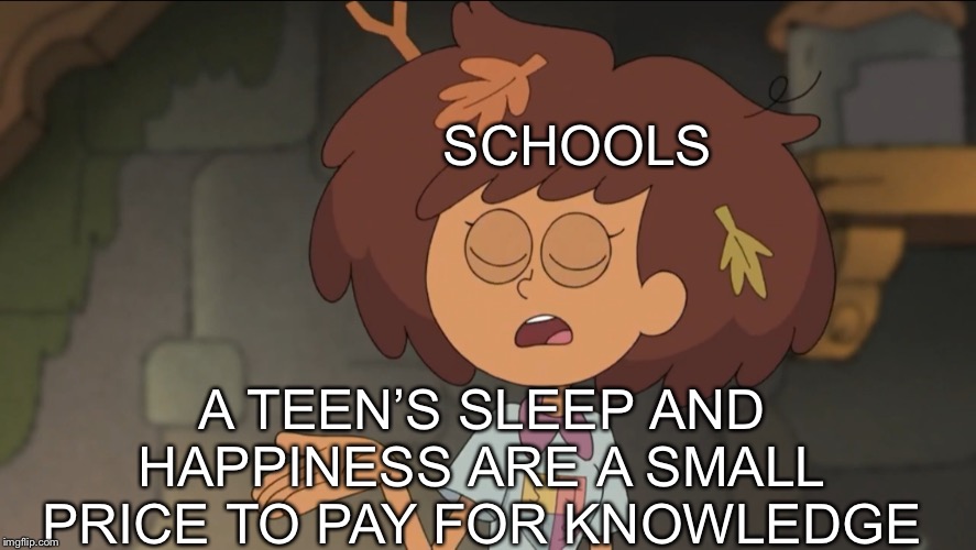 Schools be like: |  SCHOOLS; A TEEN’S SLEEP AND HAPPINESS ARE A SMALL PRICE TO PAY FOR KNOWLEDGE | image tagged in a small price to pay for salvation amphibia edition,amphibia,funny,school | made w/ Imgflip meme maker