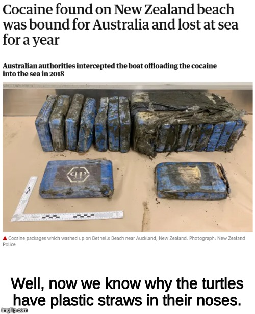 don't litter, or the turtles will get high |  Well, now we know why the turtles have plastic straws in their noses. | image tagged in memes,litter,turtles,cocaine,plastic straws | made w/ Imgflip meme maker