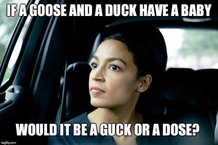 Alexandria Ocasio-Cortez | IF A GOOSE AND A DUCK HAVE A BABY; WOULD IT BE A GUCK OR A DOOSE? | image tagged in alexandria ocasio-cortez | made w/ Imgflip meme maker