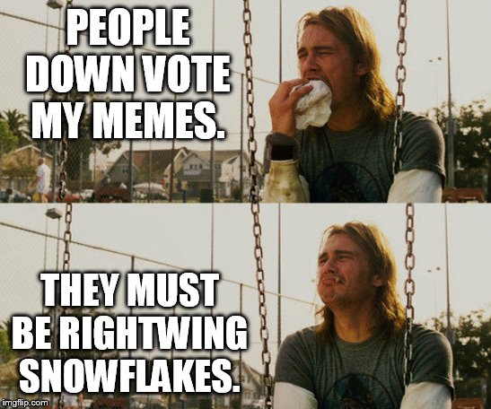 First World Stoner Problems | PEOPLE DOWN VOTE MY MEMES. THEY MUST BE RIGHTWING SNOWFLAKES. | image tagged in memes,first world stoner problems | made w/ Imgflip meme maker