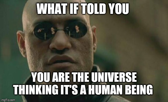 Matrix Morpheus Meme | WHAT IF TOLD YOU; YOU ARE THE UNIVERSE THINKING IT'S A HUMAN BEING | image tagged in memes,matrix morpheus | made w/ Imgflip meme maker