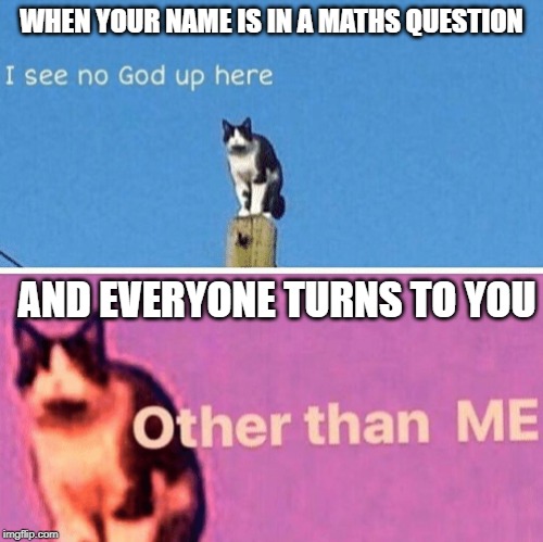 Hail pole cat | WHEN YOUR NAME IS IN A MATHS QUESTION; AND EVERYONE TURNS TO YOU | image tagged in hail pole cat | made w/ Imgflip meme maker