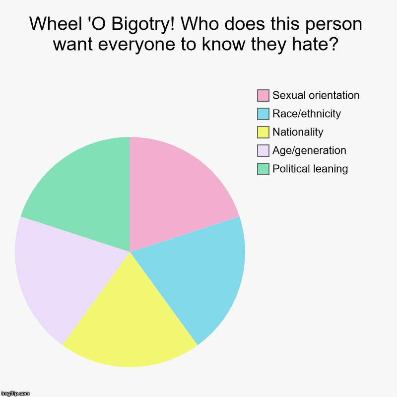 When you accept a friend request from a work acquaintance | Wheel 'O Bigotry! Who does this person want everyone to know they hate? | Political leaning, Age/generation, Nationality, Race/ethnicity, Se | image tagged in charts,pie charts,work,forever alone,bigotry | made w/ Imgflip chart maker