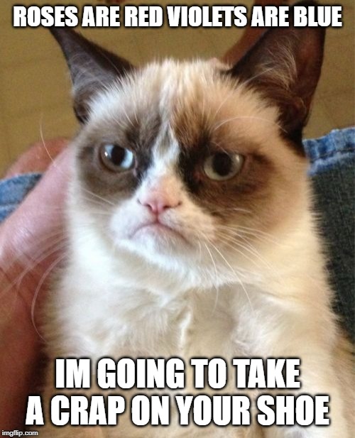 Grumpy Cat | ROSES ARE RED VIOLETS ARE BLUE; IM GOING TO TAKE A CRAP ON YOUR SHOE | image tagged in memes,grumpy cat | made w/ Imgflip meme maker