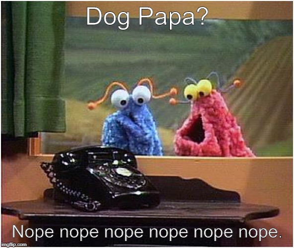 NopeNope. Not Dog Papa. | Dog Papa? Nope nope nope nope nope nope. | image tagged in yipyip | made w/ Imgflip meme maker