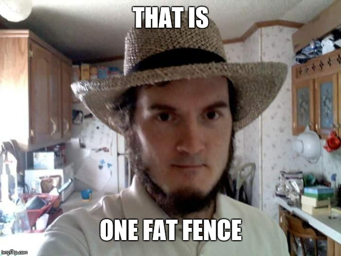 AMISH GUY | THAT IS ONE FAT FENCE | image tagged in amish guy | made w/ Imgflip meme maker