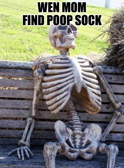 Waiting Skeleton | WEN MOM FIND POOP SOCK | image tagged in memes,waiting skeleton | made w/ Imgflip meme maker
