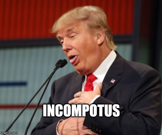 incomptent POTUS | INCOMPOTUS | image tagged in donald trump,trump,incompetent | made w/ Imgflip meme maker