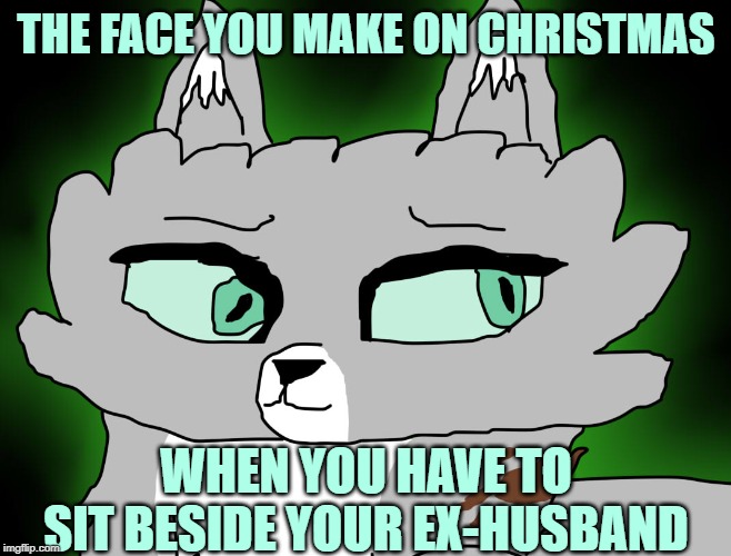 Cat face | THE FACE YOU MAKE ON CHRISTMAS; WHEN YOU HAVE TO SIT BESIDE YOUR EX-HUSBAND | image tagged in cat face | made w/ Imgflip meme maker