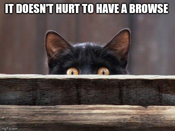 sneaky cat eyes | IT DOESN'T HURT TO HAVE A BROWSE | image tagged in sneaky cat eyes | made w/ Imgflip meme maker
