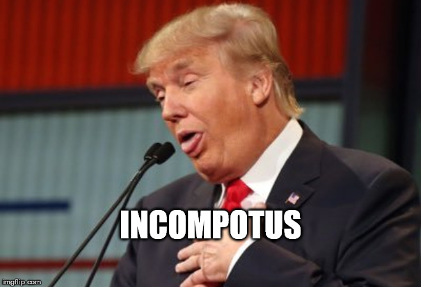 incompetent POTUS | INCOMPOTUS | image tagged in donald trump,trump,incompetent | made w/ Imgflip meme maker