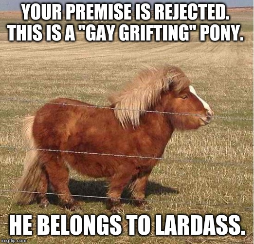 YOUR PREMISE IS REJECTED.  THIS IS A "GAY GRIFTING" PONY. HE BELONGS TO LARDASS. | made w/ Imgflip meme maker