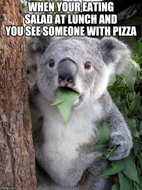 Surprised Koala | WHEN YOUR EATING SALAD AT LUNCH AND YOU SEE SOMEONE WITH PIZZA | image tagged in memes,surprised koala | made w/ Imgflip meme maker