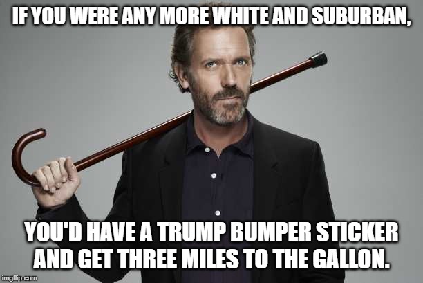 Dr House | IF YOU WERE ANY MORE WHITE AND SUBURBAN, YOU'D HAVE A TRUMP BUMPER STICKER AND GET THREE MILES TO THE GALLON. | image tagged in dr house | made w/ Imgflip meme maker