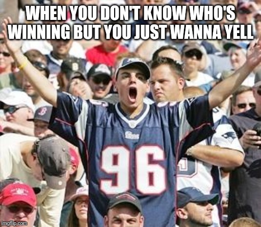 Sports Fans | WHEN YOU DON'T KNOW WHO'S WINNING BUT YOU JUST WANNA YELL | image tagged in sports fans | made w/ Imgflip meme maker