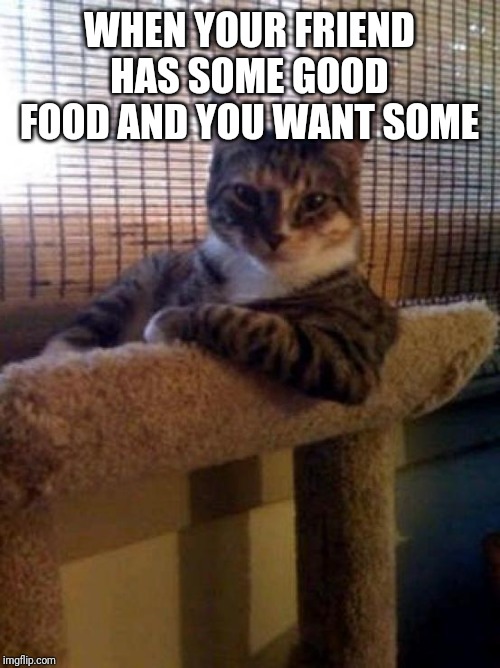The Most Interesting Cat In The World Meme | WHEN YOUR FRIEND HAS SOME GOOD FOOD AND YOU WANT SOME | image tagged in memes,the most interesting cat in the world | made w/ Imgflip meme maker