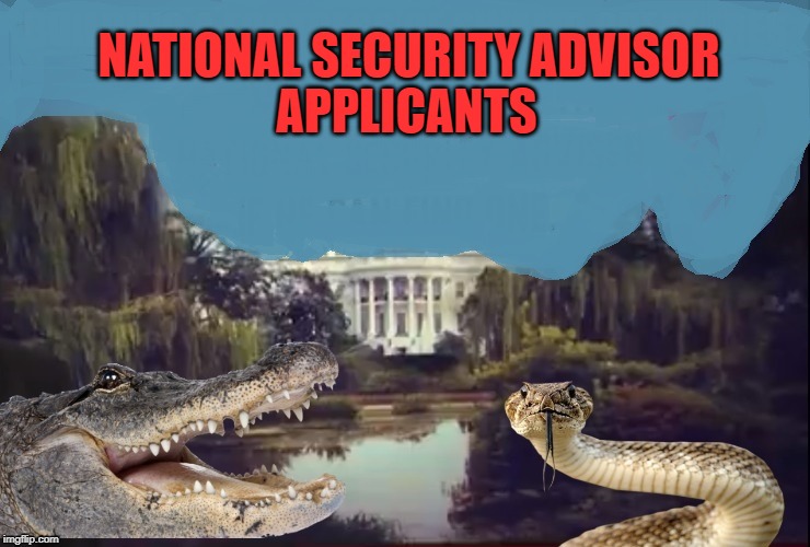 And the Swamp Gets Ever-More Infested | NATIONAL SECURITY ADVISOR; APPLICANTS | image tagged in trump,national security,national security adviser,failed president,trump failure,democracy in danger | made w/ Imgflip meme maker
