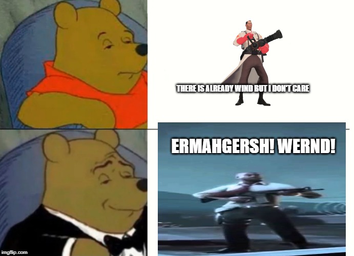who deserves crown tf2 medic or new age louis 4 le epic wernd? | THERE IS ALREADY WIND BUT I DON'T CARE; ERMAHGERSH! WERND! | image tagged in fancy pooh,wind,valve | made w/ Imgflip meme maker