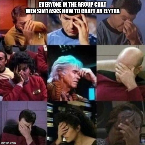 Only gamers understand | EVERYONE IN THE GROUP CHAT WEN SIM1 ASKS HOW TO CRAFT AN ELYTRA | image tagged in star trek face palm | made w/ Imgflip meme maker