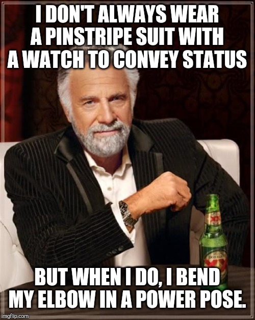 The Most Interesting Man In The World Meme | I DON'T ALWAYS WEAR A PINSTRIPE SUIT WITH A WATCH TO CONVEY STATUS; BUT WHEN I DO, I BEND MY ELBOW IN A POWER POSE. | image tagged in memes,the most interesting man in the world | made w/ Imgflip meme maker