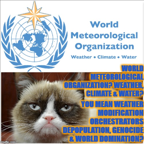 GRUMPY VS WEATHER THUGS | WORLD METEOROLOGICAL ORGANIZATION? WEATHER, CLIMATE & WATER? YOU MEAN WEATHER MODIFICATION ORCHESTRATORS DEPOPULATION, GENOCIDE & WORLD DOMINATION? | image tagged in grumpy vs weather thugs | made w/ Imgflip meme maker