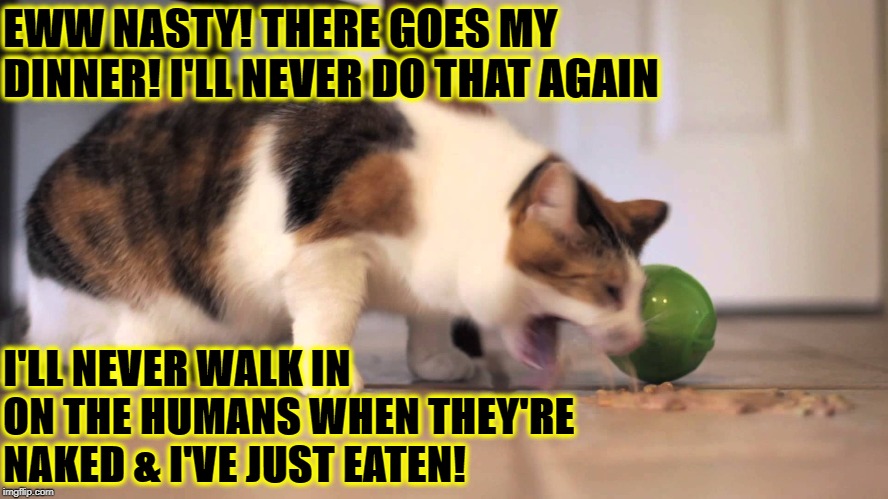 NAKED HUMAN | EWW NASTY! THERE GOES MY DINNER! I'LL NEVER DO THAT AGAIN; I'LL NEVER WALK IN ON THE HUMANS WHEN THEY'RE NAKED & I'VE JUST EATEN! | image tagged in naked human | made w/ Imgflip meme maker
