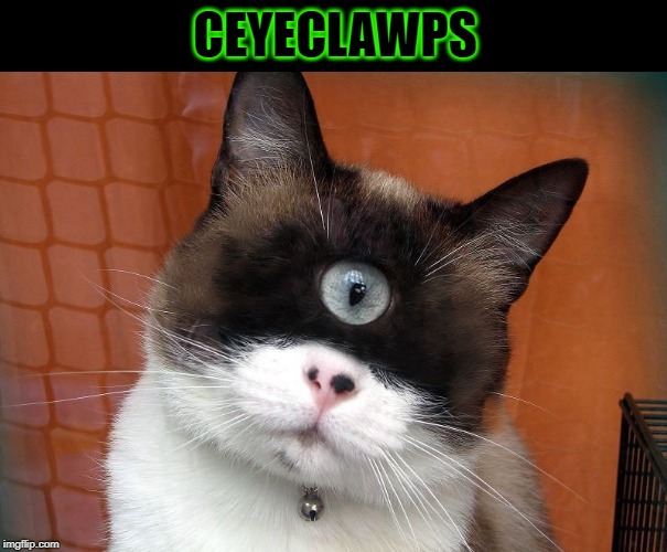 Ceyeclawps | CEYECLAWPS | image tagged in ceyeclawps | made w/ Imgflip meme maker