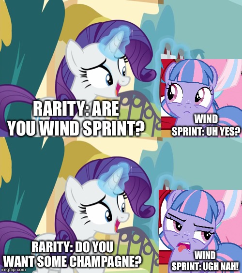 Rarity meets Wind Sprint and ask her to drink Champagne | RARITY: ARE YOU WIND SPRINT? WIND SPRINT: UH YES? RARITY: DO YOU WANT SOME CHAMPAGNE? WIND SPRINT: UGH NAH! | image tagged in rarity,my little pony,mlp fim,wind,champagne | made w/ Imgflip meme maker