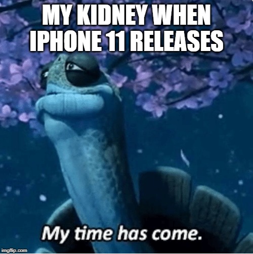 My Time Has Come | MY KIDNEY WHEN IPHONE 11 RELEASES | image tagged in my time has come | made w/ Imgflip meme maker