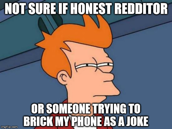 Futurama Fry Meme | NOT SURE IF HONEST REDDITOR; OR SOMEONE TRYING TO BRICK MY PHONE AS A JOKE | image tagged in memes,futurama fry | made w/ Imgflip meme maker