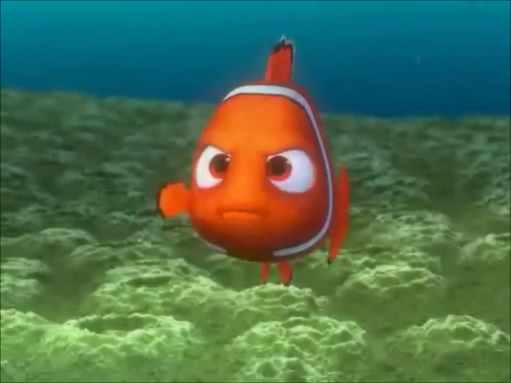 High Quality Nemo Blank Meme Template
