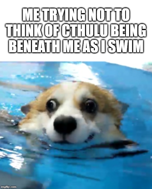 ME TRYING NOT TO THINK OF CTHULU BEING BENEATH ME AS I SWIM | image tagged in cthulu,doge,swimming | made w/ Imgflip meme maker