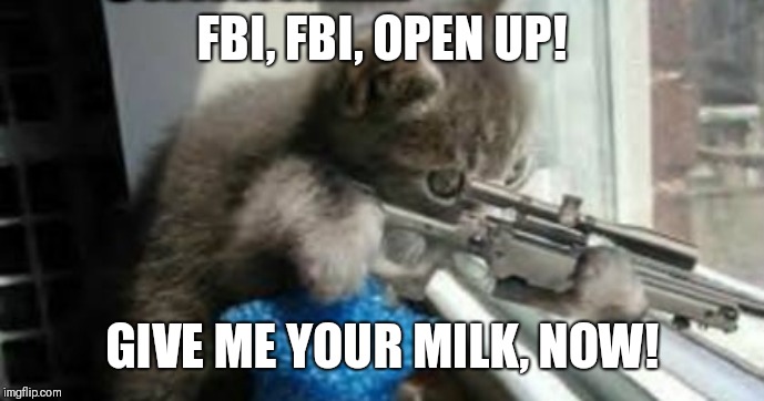 Cat with a gun | FBI, FBI, OPEN UP! GIVE ME YOUR MILK, NOW! | image tagged in funny,memes | made w/ Imgflip meme maker