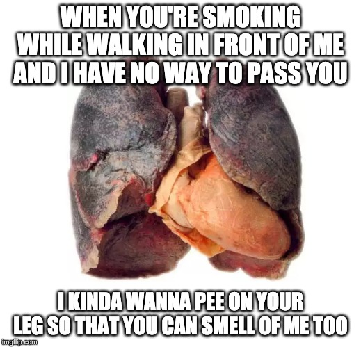 some days it's hard to hold back... | WHEN YOU'RE SMOKING WHILE WALKING IN FRONT OF ME AND I HAVE NO WAY TO PASS YOU; I KINDA WANNA PEE ON YOUR LEG SO THAT YOU CAN SMELL OF ME TOO | image tagged in smoker sick unhealthy lungs,smoking,stink | made w/ Imgflip meme maker