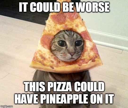 Not as embarrassing. | IT COULD BE WORSE; THIS PIZZA COULD HAVE PINEAPPLE ON IT | image tagged in pizza cat,hawaiian style,pineapple,pineapple pizza | made w/ Imgflip meme maker