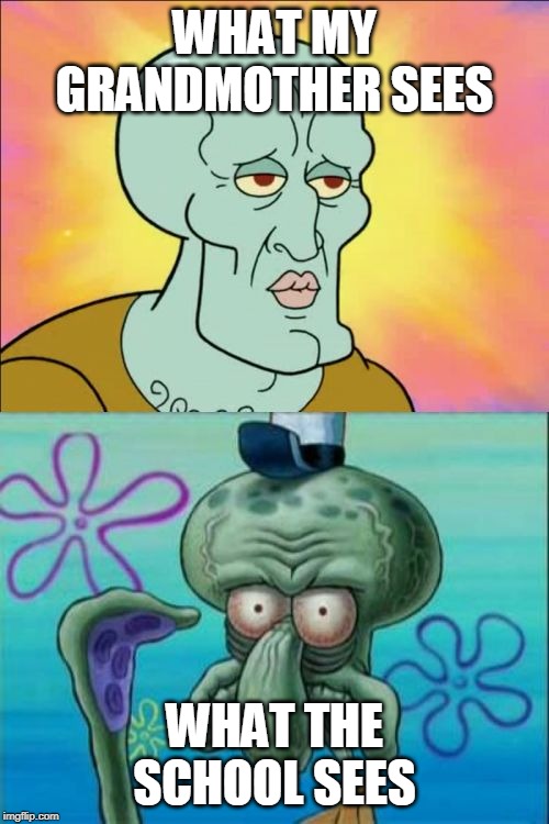 Squidward Meme | WHAT MY GRANDMOTHER SEES; WHAT THE SCHOOL SEES | image tagged in memes,squidward | made w/ Imgflip meme maker