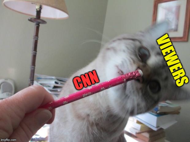 Hypnotized Cat | VIEWERS; CNN | image tagged in hypnotized cat | made w/ Imgflip meme maker