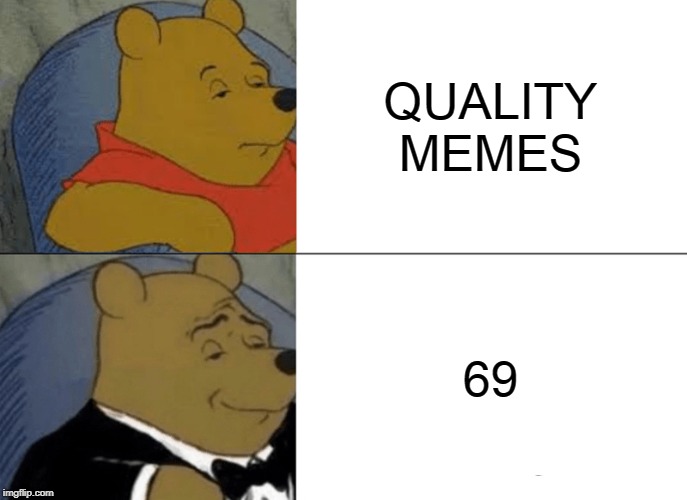 Tuxedo Winnie The Pooh Meme | QUALITY MEMES; 69 | image tagged in memes,tuxedo winnie the pooh | made w/ Imgflip meme maker