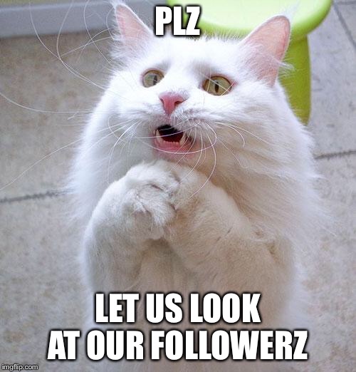 I got 1 follower lately,and I was so excited. However. | PLZ; LET US LOOK AT OUR FOLLOWERZ | image tagged in begging cat,followers,memes,imgflip,imgflip users | made w/ Imgflip meme maker