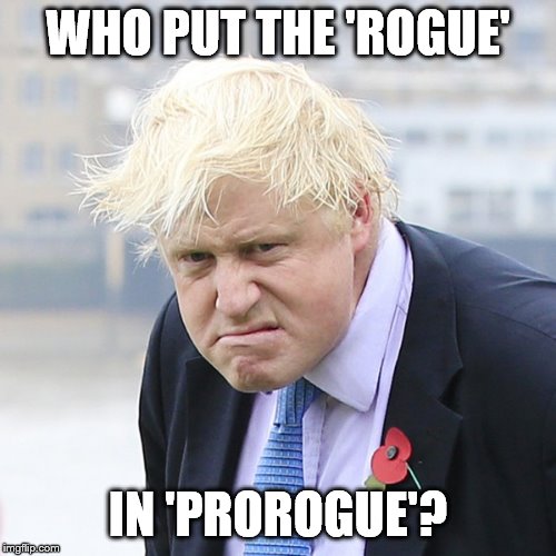 Angry Boris | WHO PUT THE 'ROGUE'; IN 'PROROGUE'? | image tagged in angry boris | made w/ Imgflip meme maker