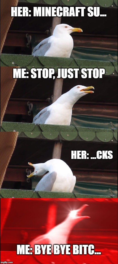 Inhaling Seagull Meme | HER: MINECRAFT SU... ME: STOP, JUST STOP; HER: ...CKS; ME: BYE BYE BITC... | image tagged in memes,inhaling seagull | made w/ Imgflip meme maker