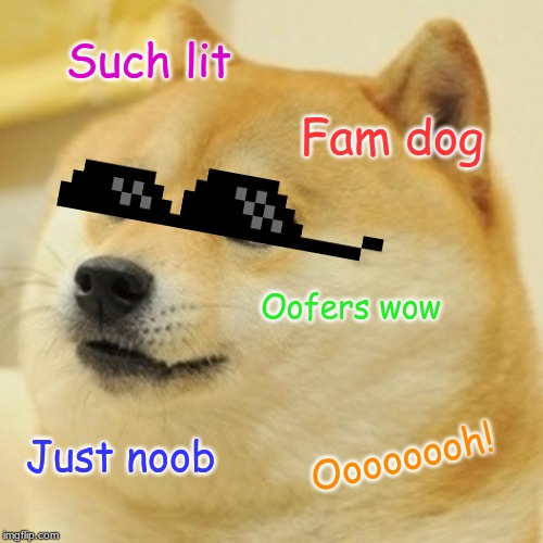 Doge Meme | Such lit; Fam dog; Oofers wow; Oooooooh! Just noob | image tagged in memes,doge | made w/ Imgflip meme maker