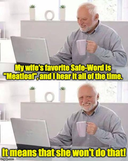Hide the Pain Harold Meme | My wife's favorite Safe-Word is "Meatloaf", and I hear it all of the time. It means that she won't do that! | image tagged in memes,hide the pain harold | made w/ Imgflip meme maker