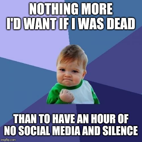 Seems odd | NOTHING MORE I'D WANT IF I WAS DEAD; THAN TO HAVE AN HOUR OF NO SOCIAL MEDIA AND SILENCE | image tagged in memes,success kid | made w/ Imgflip meme maker