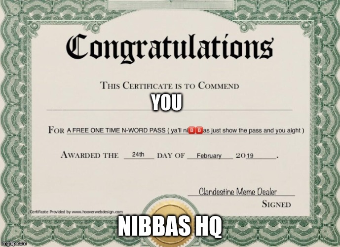 N word pass | YOU; NIBBAS HQ | image tagged in n word pass | made w/ Imgflip meme maker