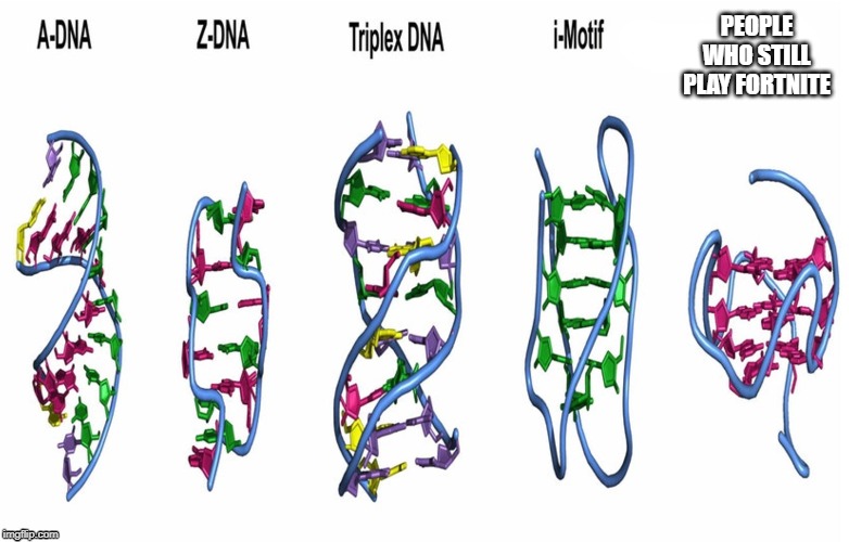 People who still play Fortnite | PEOPLE WHO STILL PLAY FORTNITE | image tagged in dna | made w/ Imgflip meme maker
