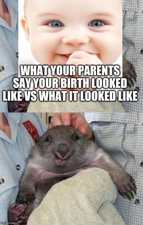 WHAT YOUR PARENTS SAY YOUR BIRTH LOOKED LIKE VS WHAT IT LOOKED LIKE | image tagged in the funny lookin gopher | made w/ Imgflip meme maker