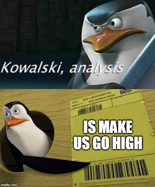 Kowalski Analysis | IS MAKE US GO HIGH | image tagged in kowalski analysis | made w/ Imgflip meme maker