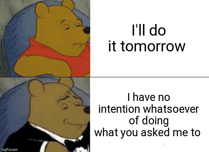 What 'I'll do it tomorrow' really means | I'll do it tomorrow; I have no intention whatsoever of doing what you asked me to | image tagged in memes,tuxedo winnie the pooh,master procrastinator | made w/ Imgflip meme maker